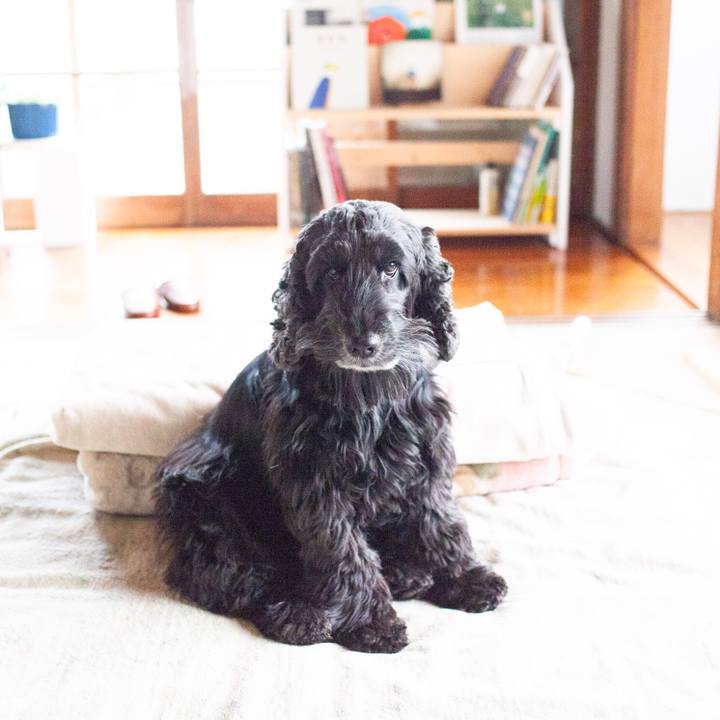 2e070727 f493 4ec2 977e 5a18ec733ee0 1551025633579