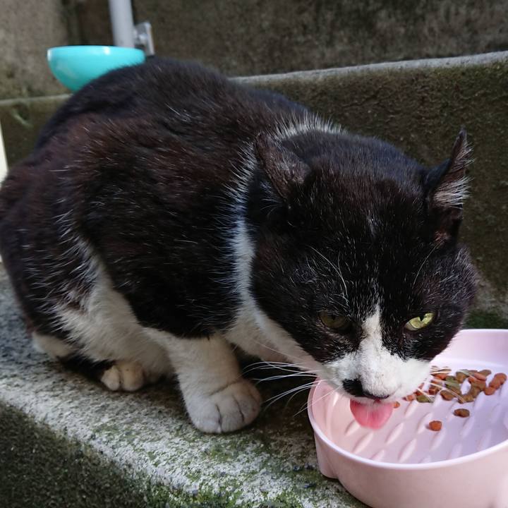 2e075cce 5fac 469b 8a6b 1d187f45eec0 1683101809979