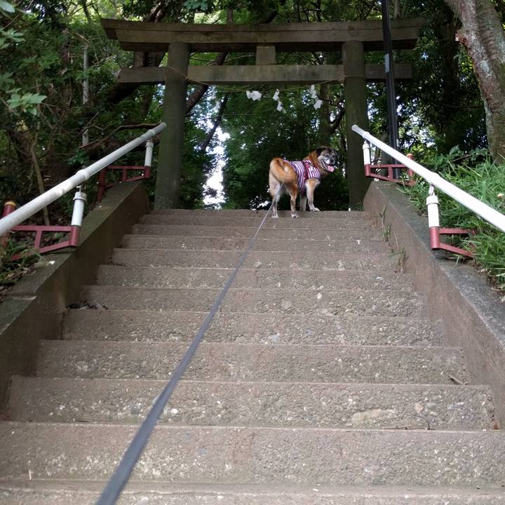 2e077f0c a274 41e5 85dd 01c9fa215f01 1732359447104