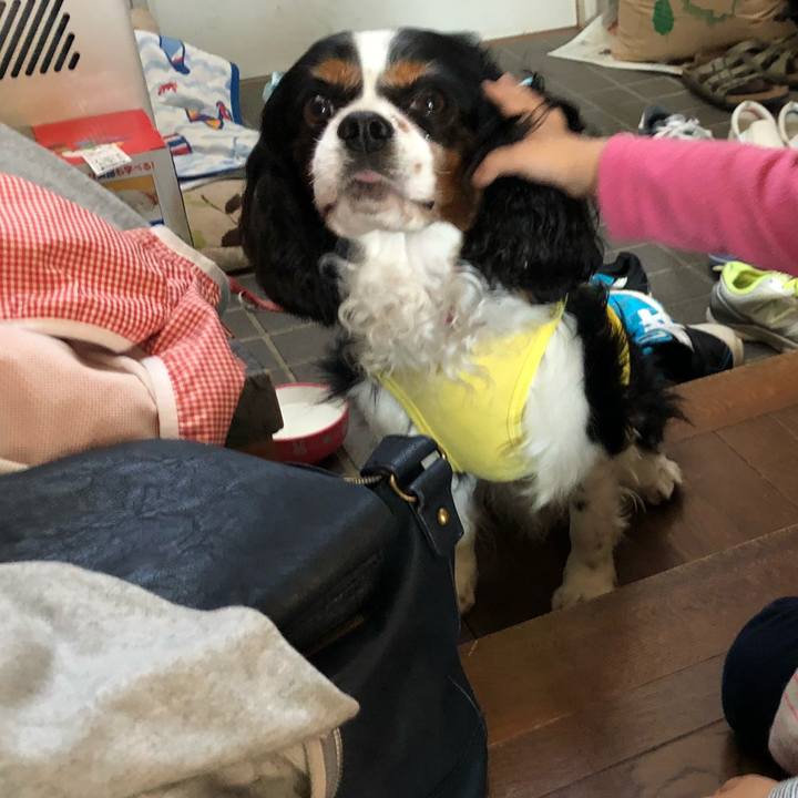 2e079003 0f1c 4482 b058 63201d215d10 1529242886033