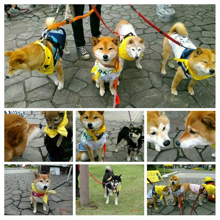 2e07b3ca 0623 47d7 be9f 0d80285ed6d9 1560095492580