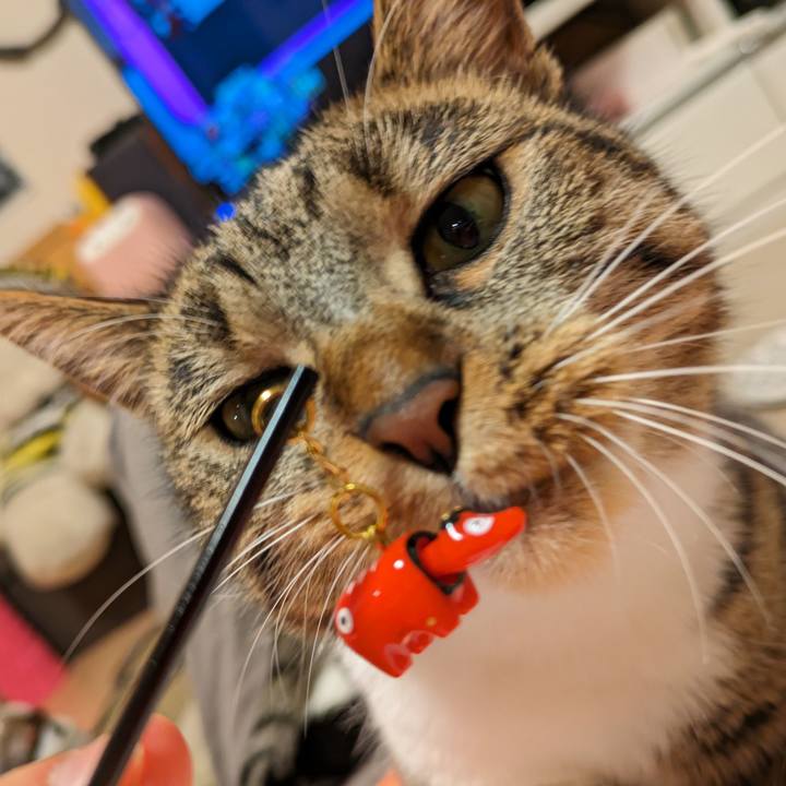 2e07b96a 6480 487d 8298 13d6ae9c75df 1688480915073