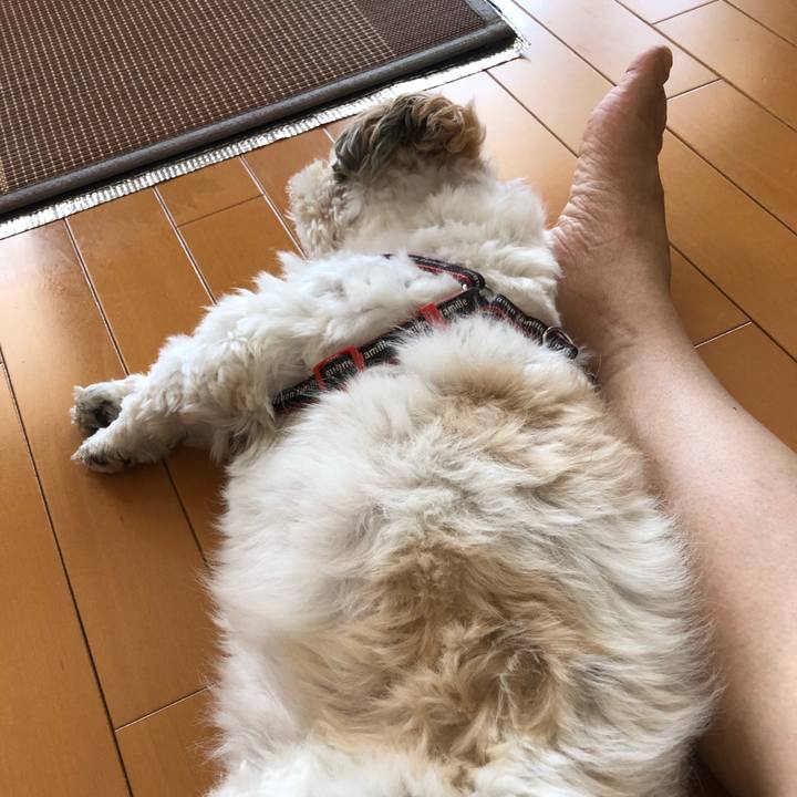 2e07c1eb 29be 4e28 9a65 bef7e3de8edf 1597113690080