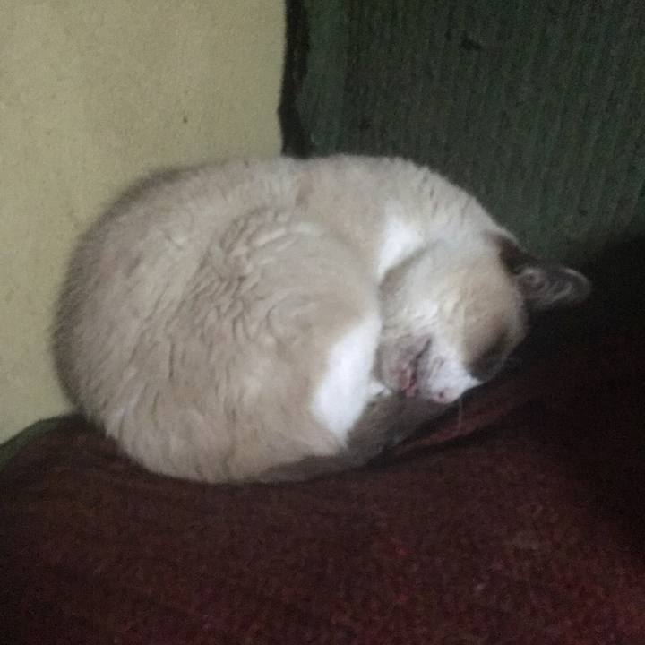 2e07c8d6 4c41 4268 a474 41d10fc7e226 1521064195112