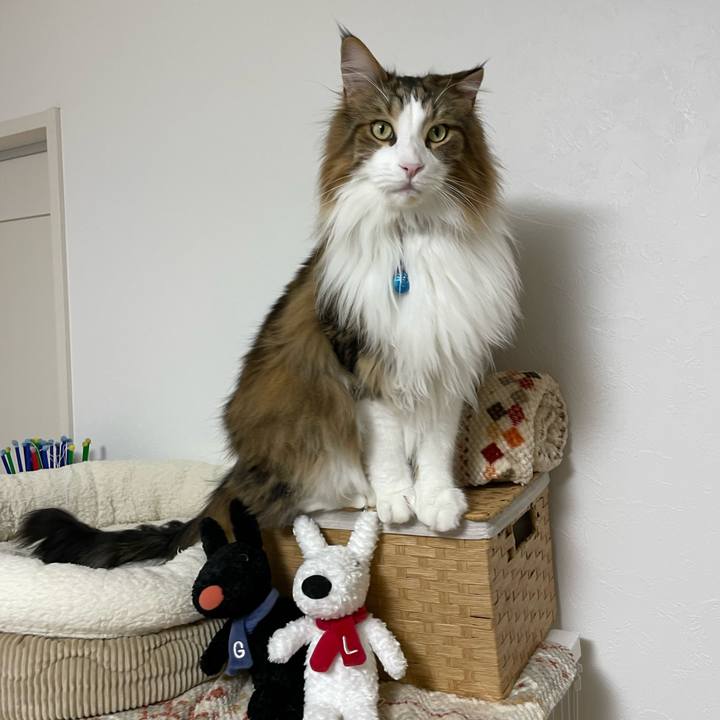 2e07d9e6 f8cb 44d5 b0e3 e887bde08713 1711831827779