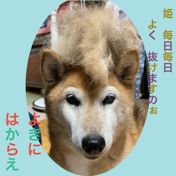 2e07db48 88d1 4a0e 9dde 56dc0442381c 1719387801480