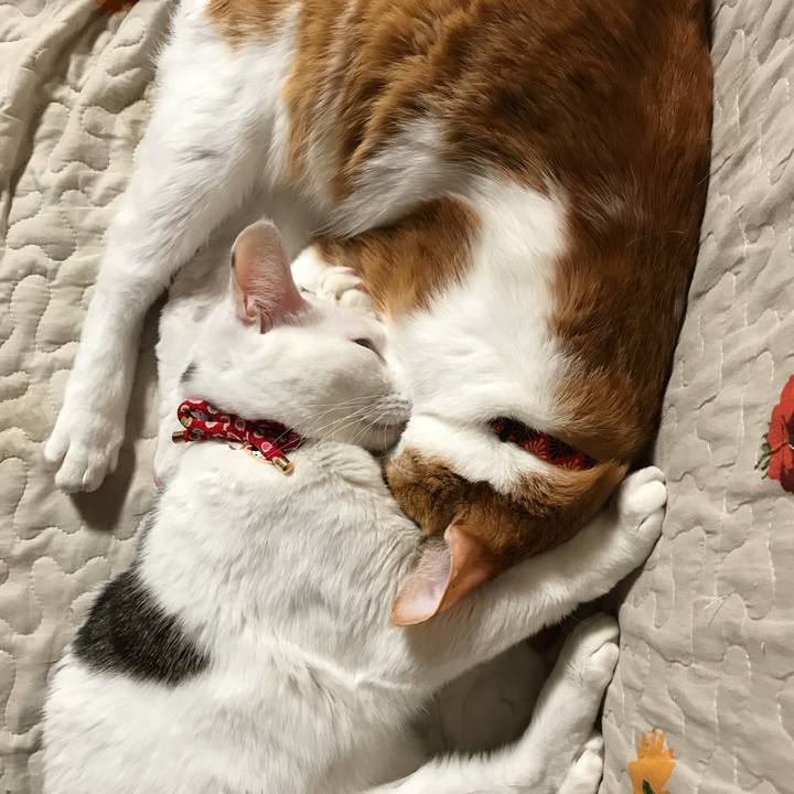 2e080dd8 9d4e 4670 b647 9ff60700b45e 1546607280351