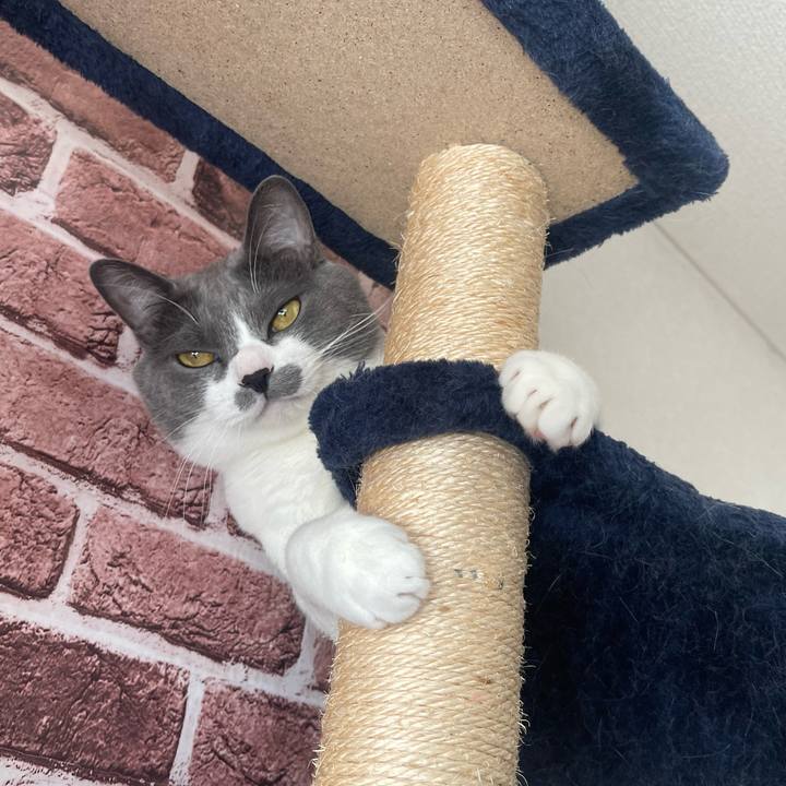 2e081c6d afb0 4b22 b06a 9bb8e34f98aa 1667609219361