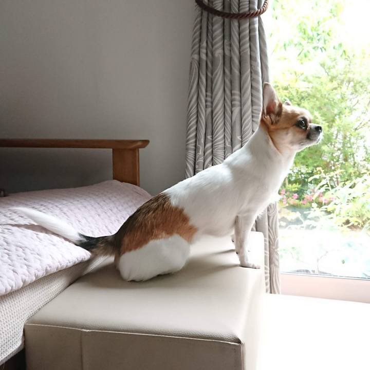 2e083cd6 51e1 4753 9f3e 318b396a7846 1592613315828