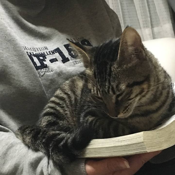 2e084aba 7ed2 40f0 951a d16acc62478c 1541166816006