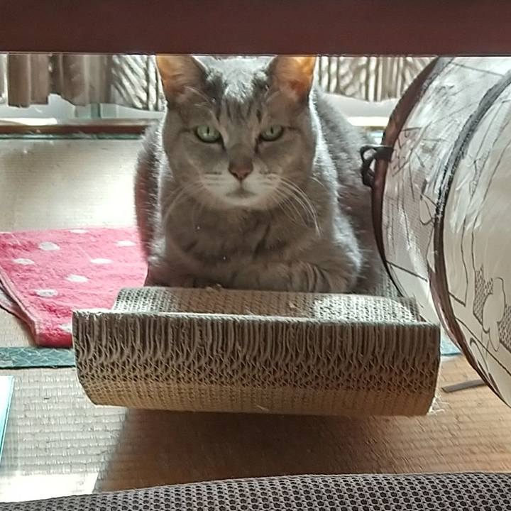 2e08e37a a5e9 47a4 a8ca 537da25c5b22 1667699126607