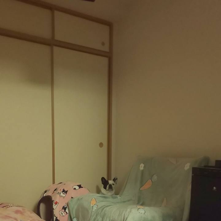 2e08fe04 6152 4e5f 9bd2 f6b304b64a4f 1641824286541