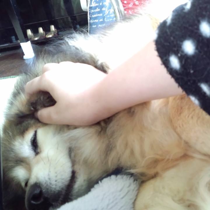 2e0902cd 3261 48b9 b811 33f3479f41d4 1620007288736