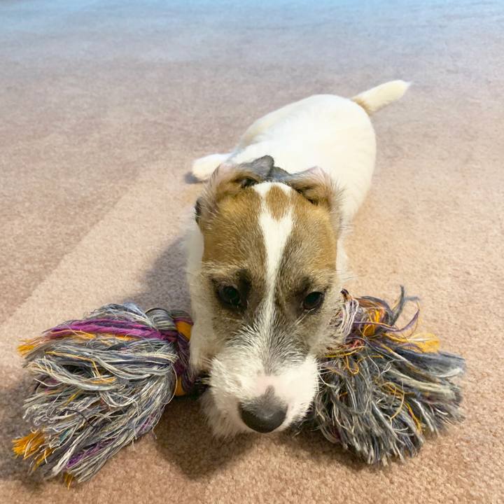 2e09451b 79a9 434f b9c1 547448a05c3b 1561973181207