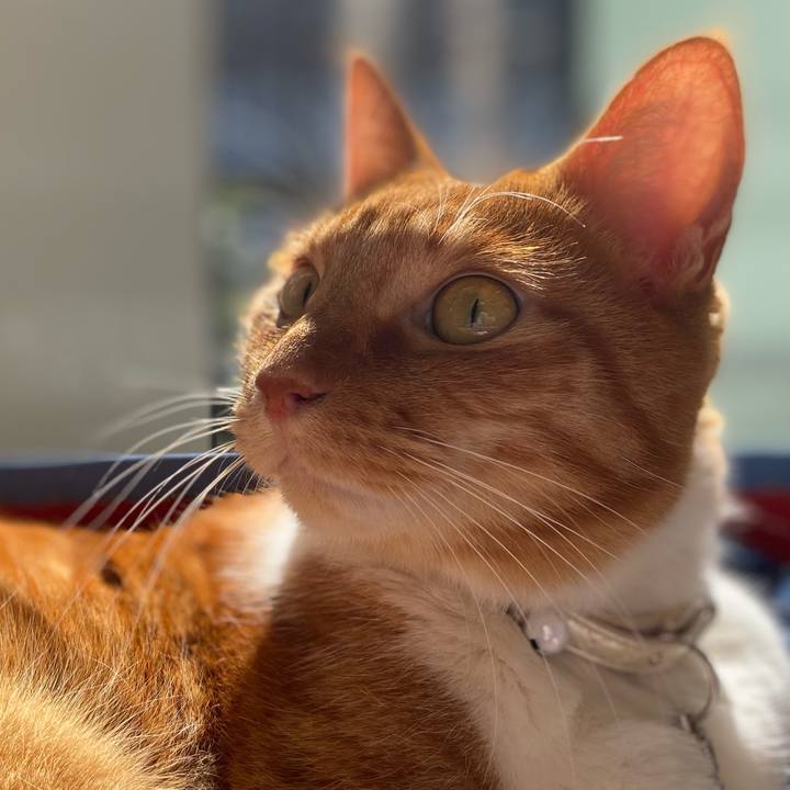 2e09d3f0 2f82 4333 8568 b79f0cb203ca 1678505771822