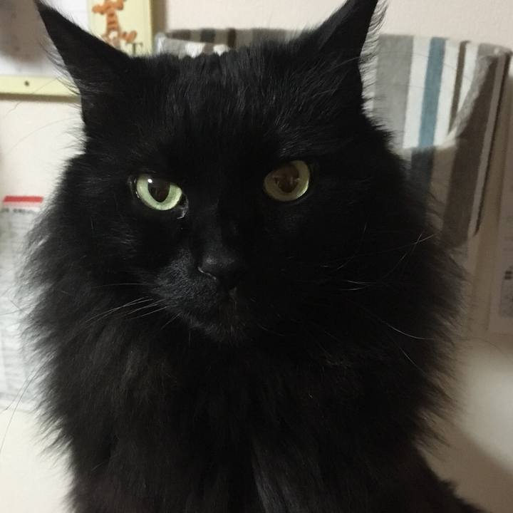 2e0a31c3 d552 494a 98a4 72fa4ef555cc 1550153256718