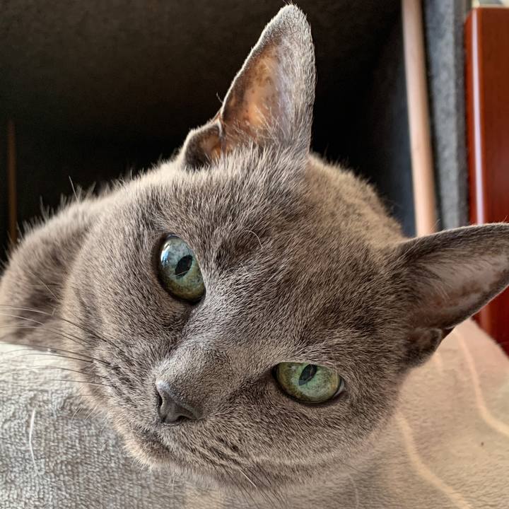 2e0a496e b83b 4575 8c8c 450dad39a85c 1609543832190