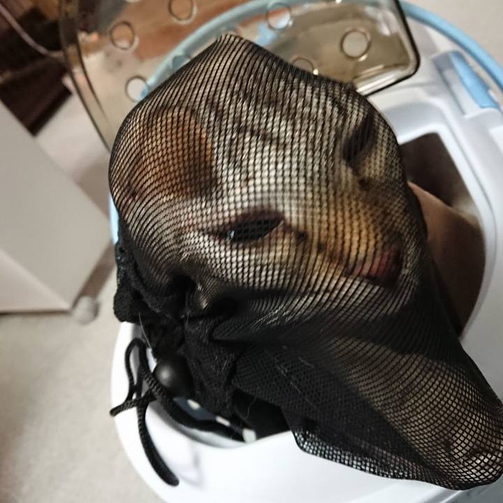 2e0a631a a015 4ddf 8ffd a045dfe7f9ed 1519459987310