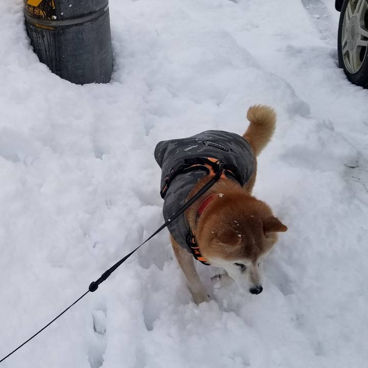 2e0a8082 a947 461b 916e 95d33a5d20fa 1735033495772