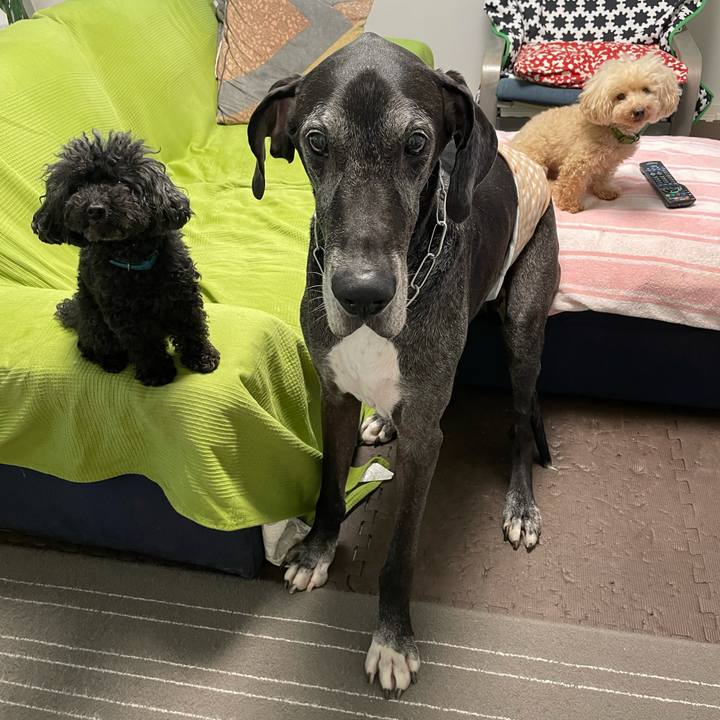 2e0ab8a7 829b 4a03 a5c4 bdab181ed520 1624574117320