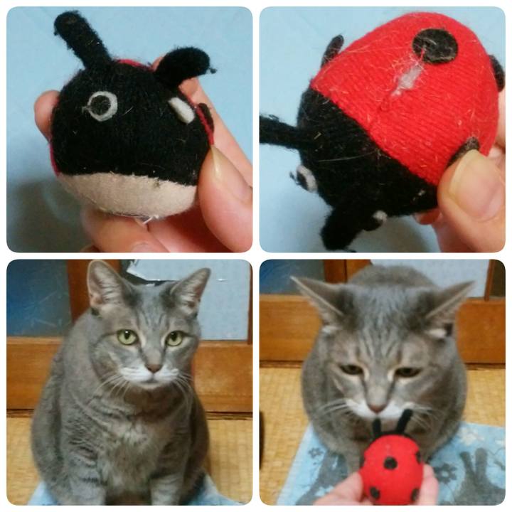 2e0ad99c 200e 4251 a2c4 7d0946387d57 1535205187884