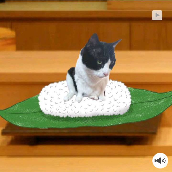 2e0aea10 1f70 4bd7 8d9c 48a3b63dc5dc 1556856613586