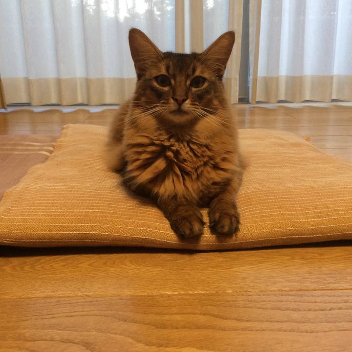 2e0b2bc1 fff5 4184 a317 0502d2f79419 1630104044677