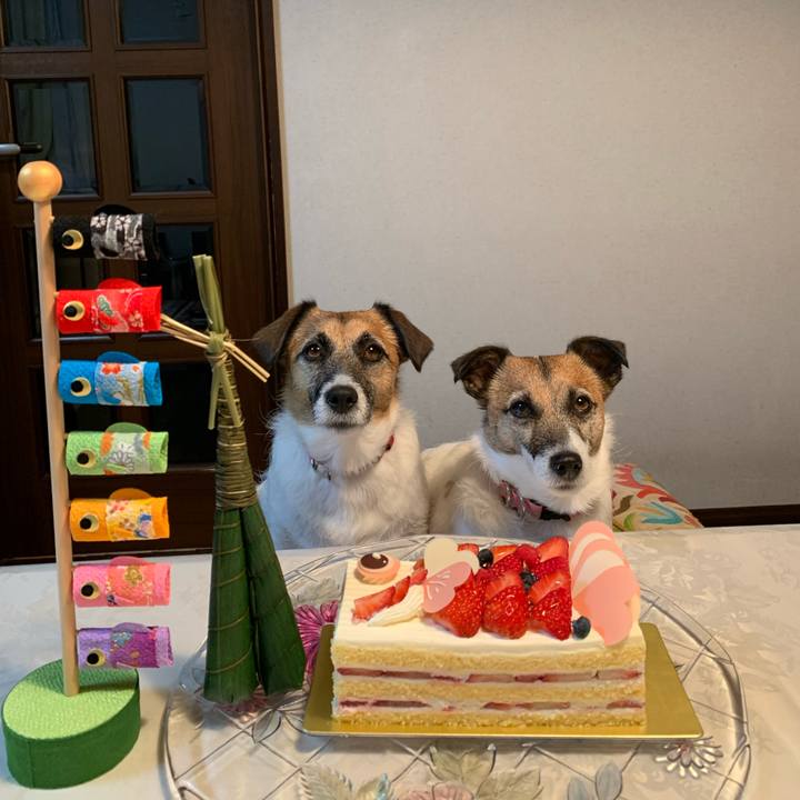 2e0b345c 14b9 47d7 9730 17bc04584b52 1651752895505