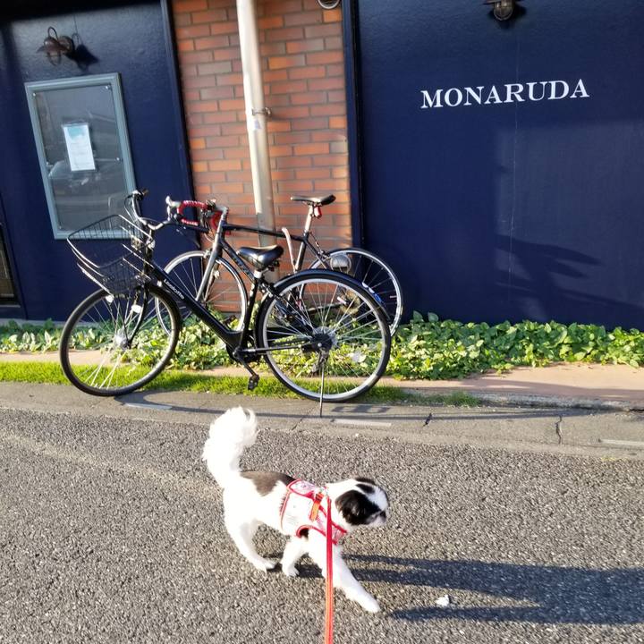 2e0b6474 b59c 471a a62b 5e07fac5b0ec 1596359932412