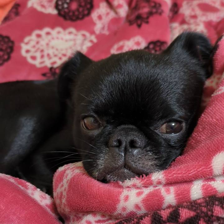 2e0bd809 a70c 4f02 a826 5fbbda4999e6 1766497881545