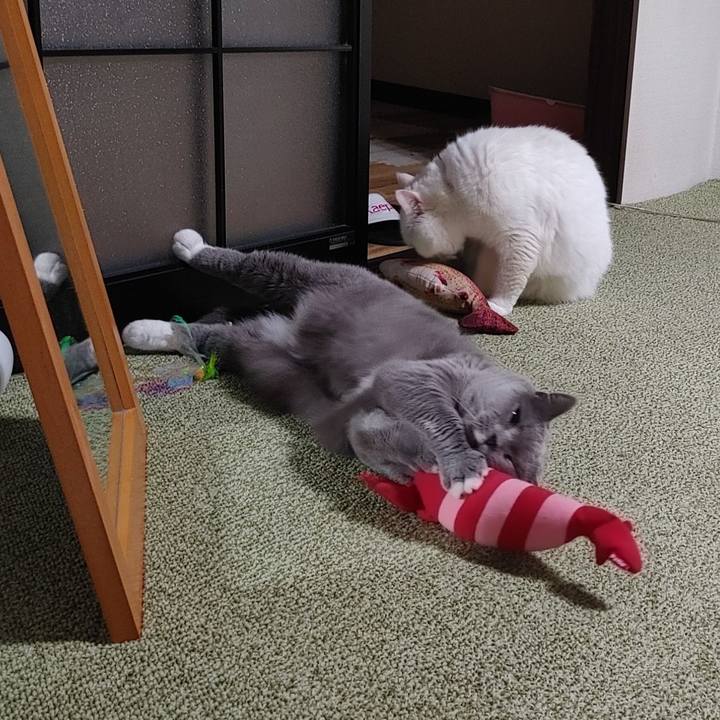 2e0be267 e9bc 4121 9eef d8da31ce2ef3 1649683898473