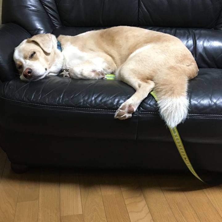 2e0c2016 f56e 4a19 9f51 320f18bcc2fa 1534433987847