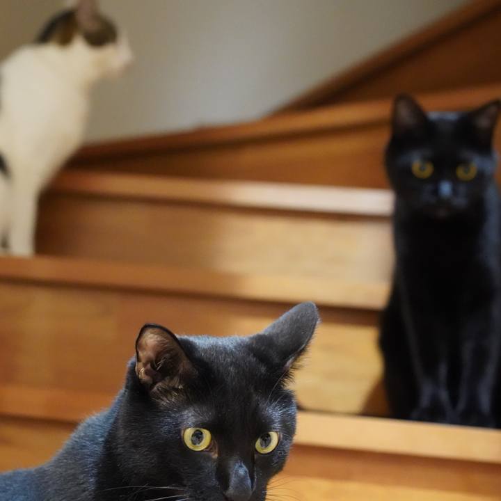 2e0c2228 cc17 4791 a7c4 f1d5a34192fc 1570492145068