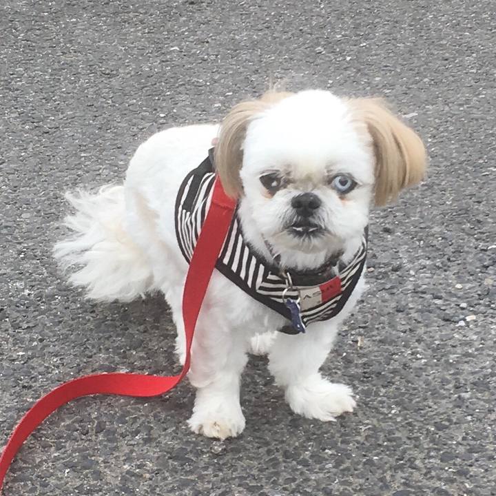 2e0c2499 859c 4b96 b52f 390bcd79dbd6 1528764626666