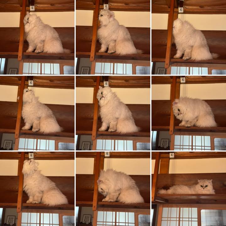 2e0c58d8 f404 4558 a18c aa420c10ee22 1676682950001