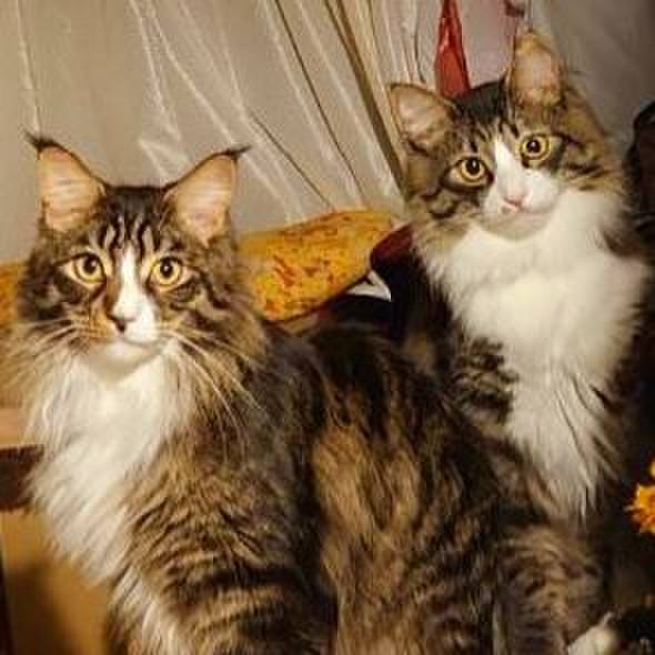 2e0c5ced 04ab 44c6 8c66 641f1dd03e40 1686821287649