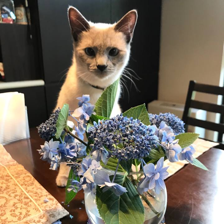 2e0c6789 8fe3 417c b7e5 32b77ac76173 1593176934080