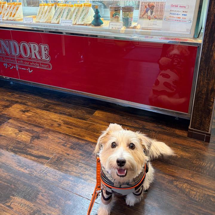 2e0c7ecd cc4e 4be8 ba87 5cc8534594a7 1765581576162