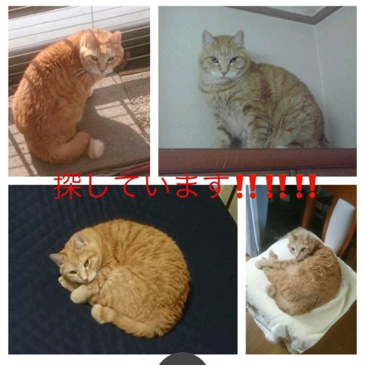 2e0cae2b be25 413d b55a c6ba4319207a 1538987591858