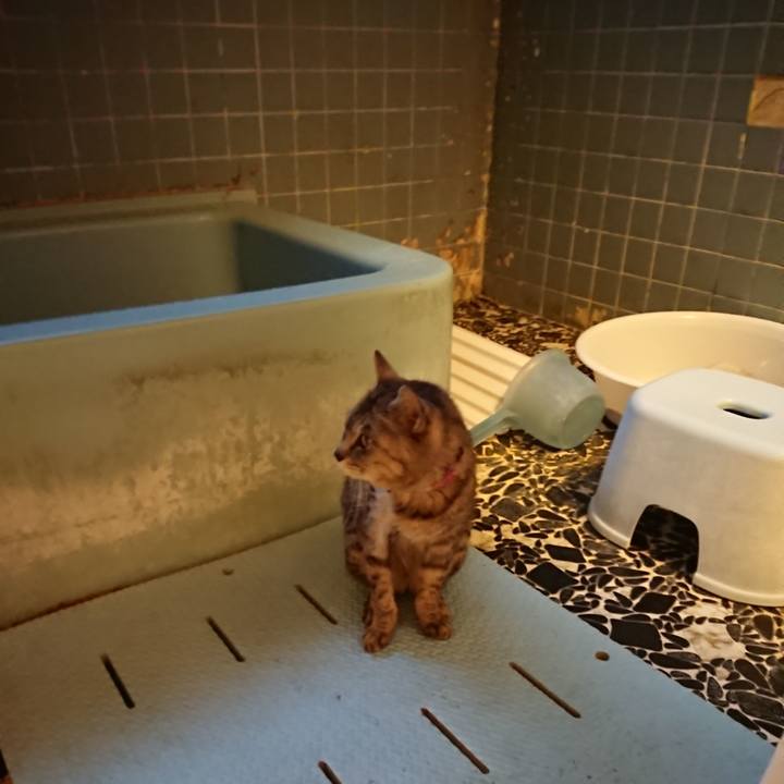 2e0cb2ec 1256 4c75 8d74 60677fdf4355 1593426825775