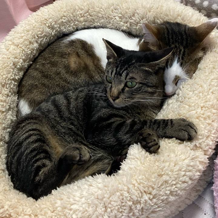 2e0cf1f7 55c6 4488 8546 bc5516b504db 1615625691005