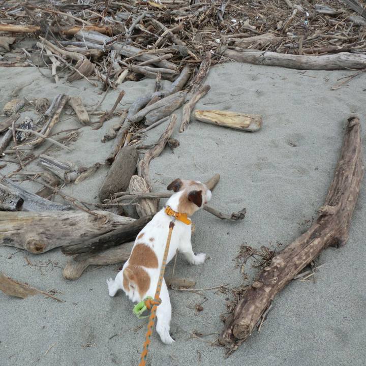 2e0d3bb4 a414 47b8 a2d6 f8bd04f307f9 1561376868559