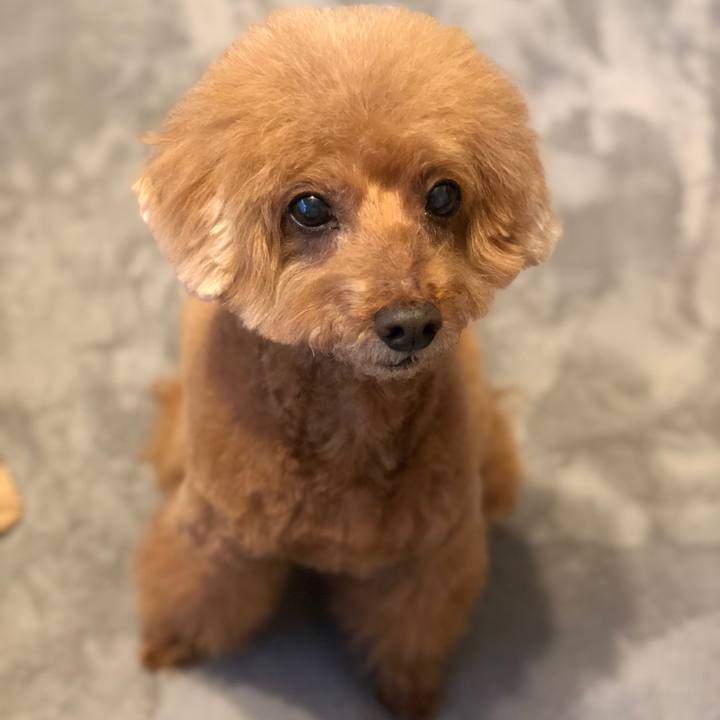 2e0d5b58 d794 4e69 97f9 b45ad8d98f99 1553079158243