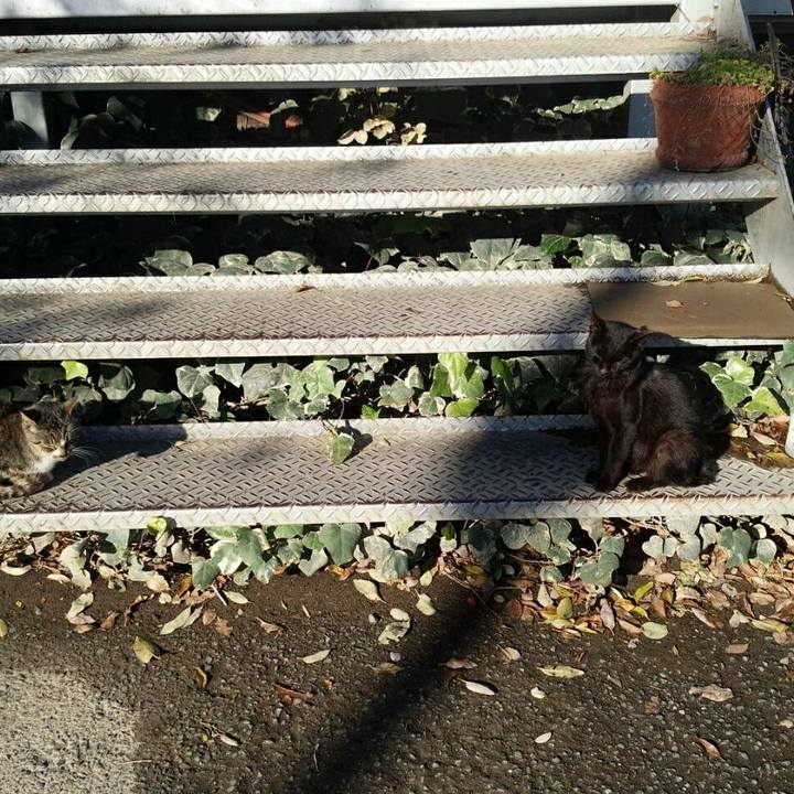 2e0d74d4 f0dc 4689 b05a ce78201ce5e6 1511588558561