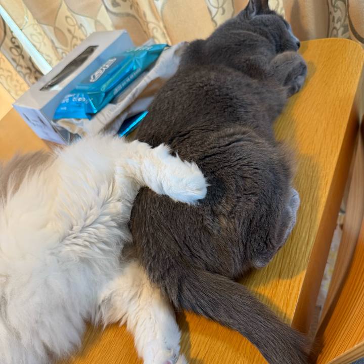 2e0de8ed 0980 4403 8c17 778305b93c8e 1752103134583