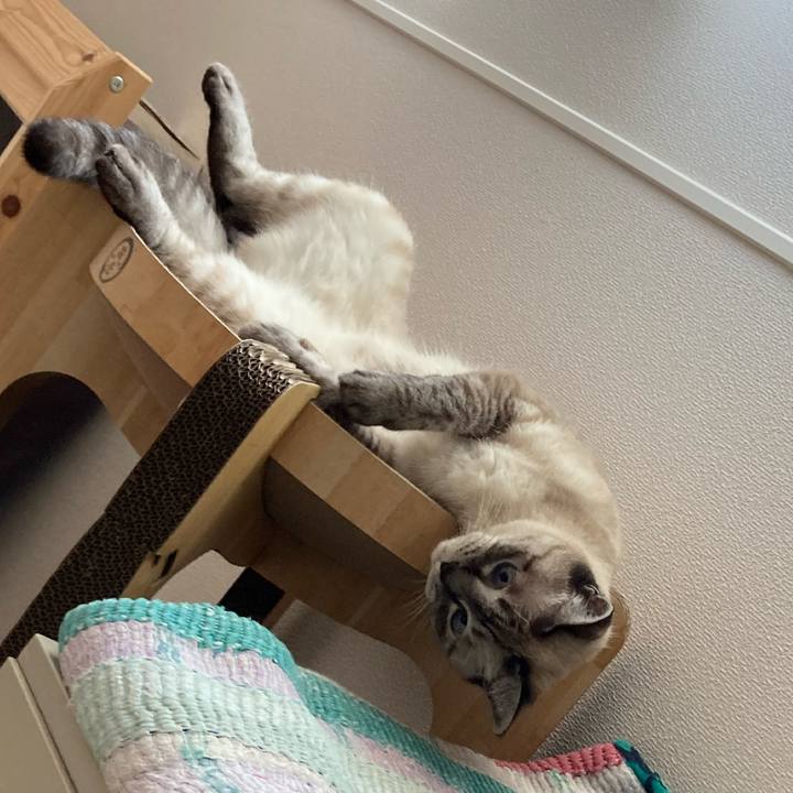 2e0df362 b9ba 4469 9c60 8740f09949b0 1724734494703