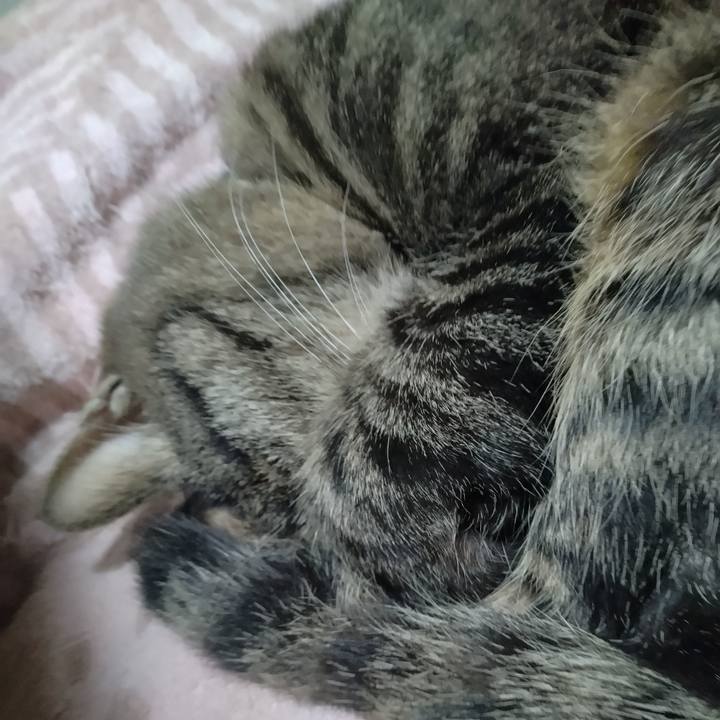 2e0dfbe2 c21e 4261 9c3e 5151554af529 1731499219233