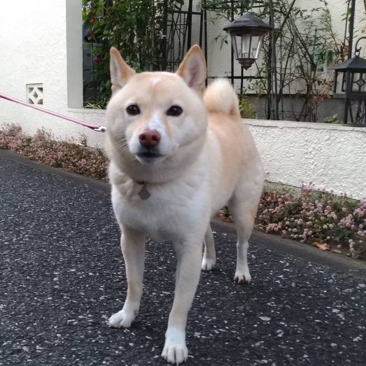 2e0dfdea 19ef 46d9 86ad 0e84430d9d93 1607641060997