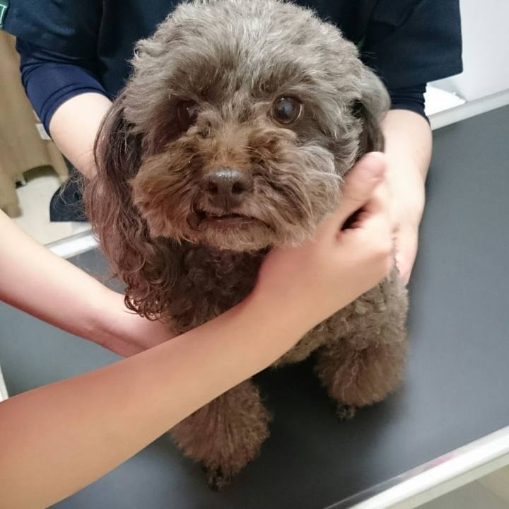 2e0e08d4 2a82 43f0 ac62 3009d5688599 1512983434395