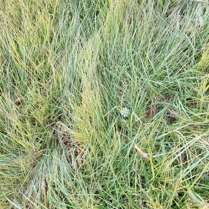 2e0e5826 88f6 486c a1f2 d8a72ed0c6e7 1673431107714